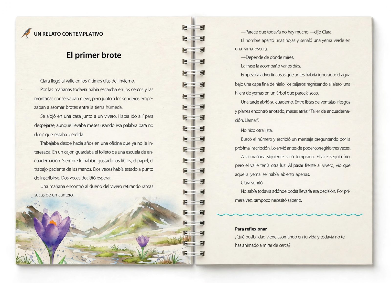 Un relato contemplativo: El primer brote