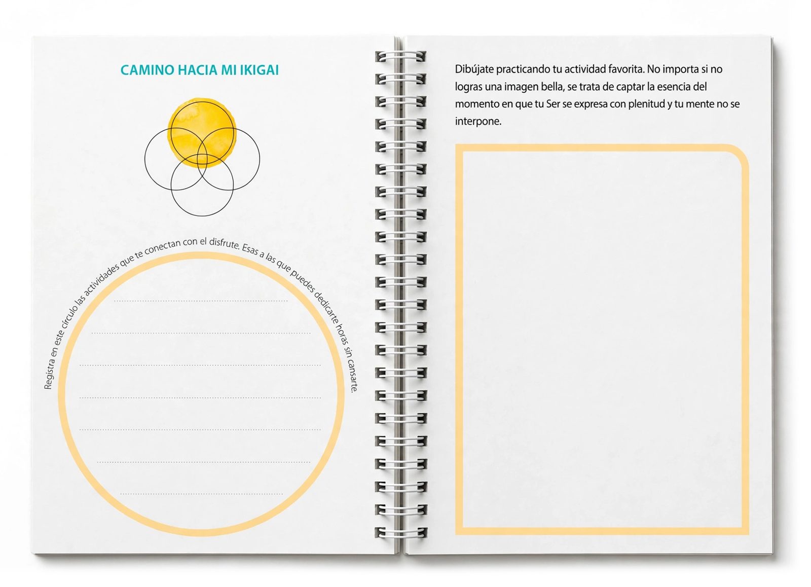 Camino hacia mi ikigai: ejercicio de los cuadrantes